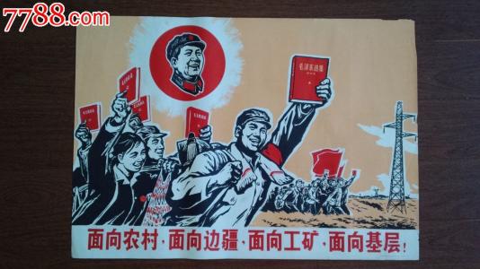 比利时驾驶证样本照片